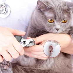 Kilitli Evcil Hayvan Tırnak Makası - Kedi ve Yavru Köpek Tırnak Kesim Makası Paslanmaz Çelik 12 cm
